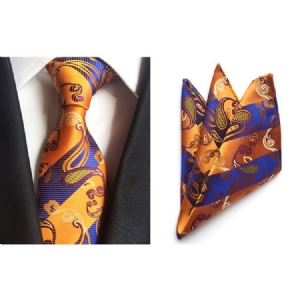 Masculino Paisley Masculino Tie